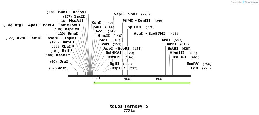 120362_map