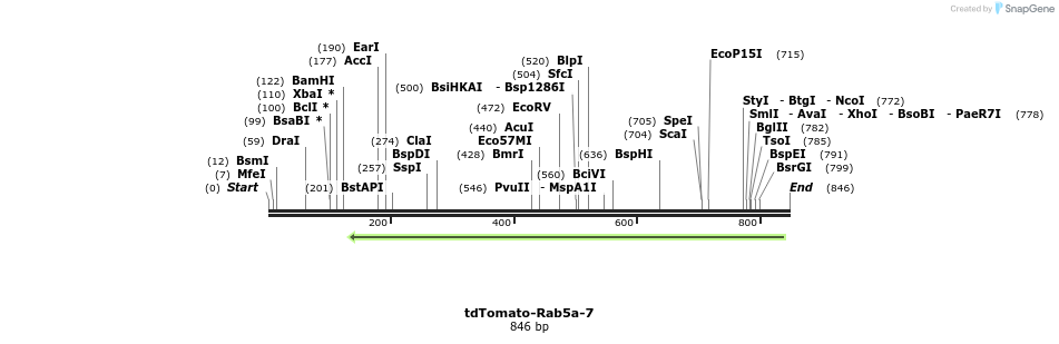 120363_map