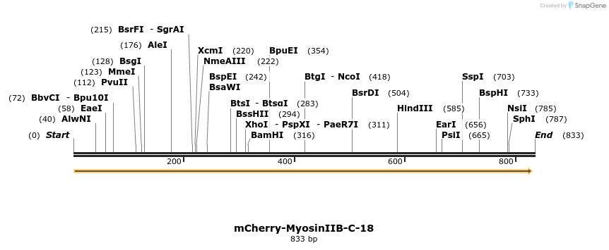120365_map