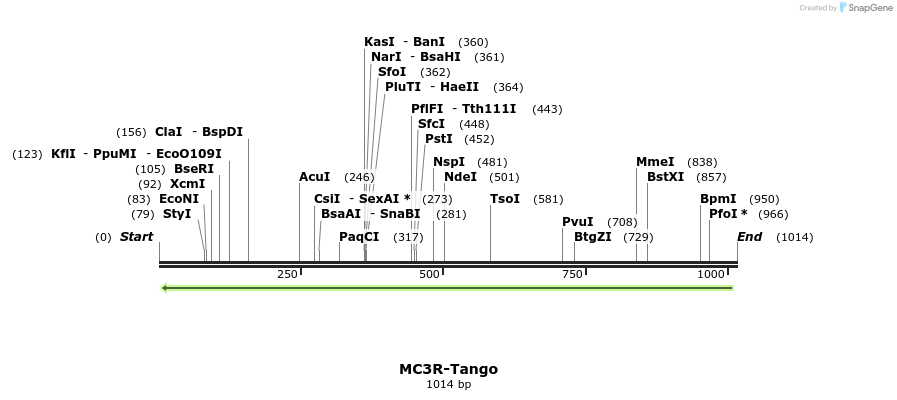 120368_map