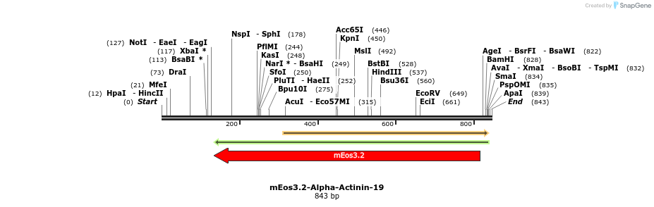 120373_map