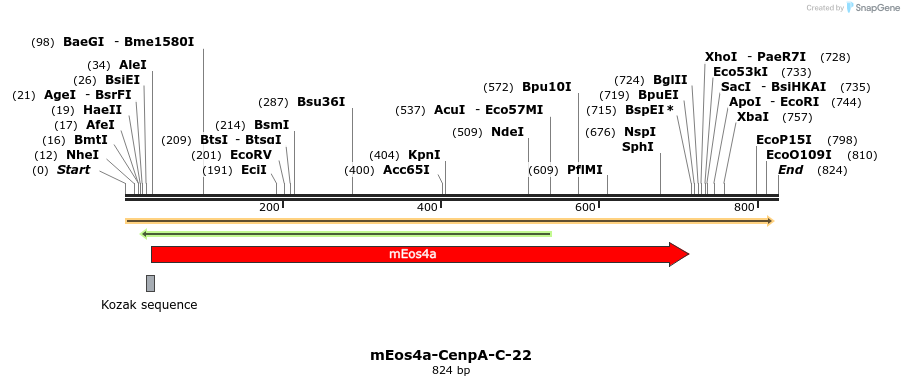 120380_map