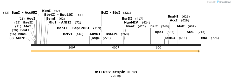120383_map