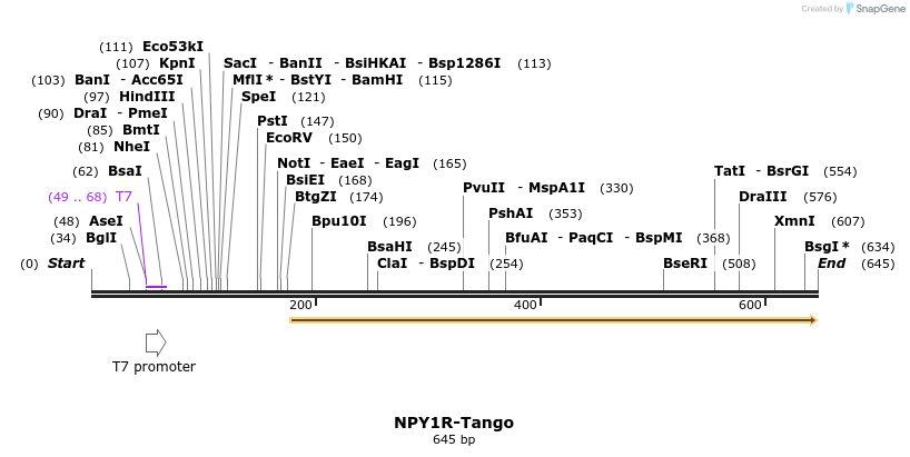 120384_map