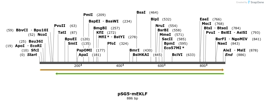 120386_map