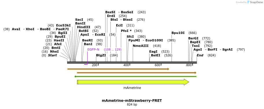 120388_map