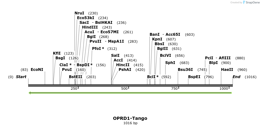120390_map