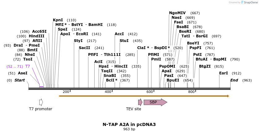 120392_map