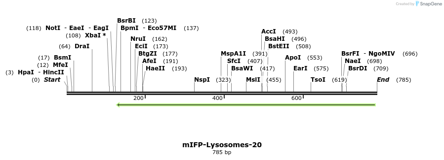 120394_map