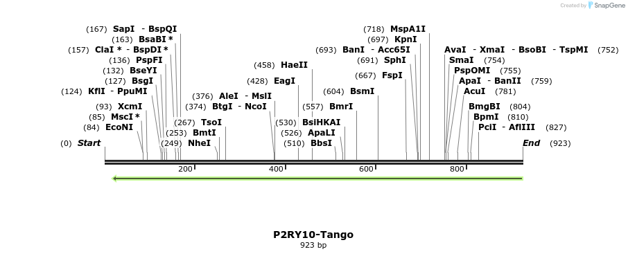 120396_map