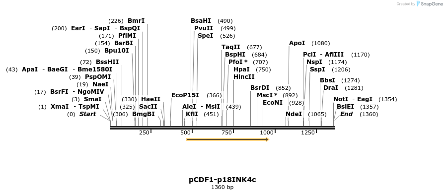 12040_map
