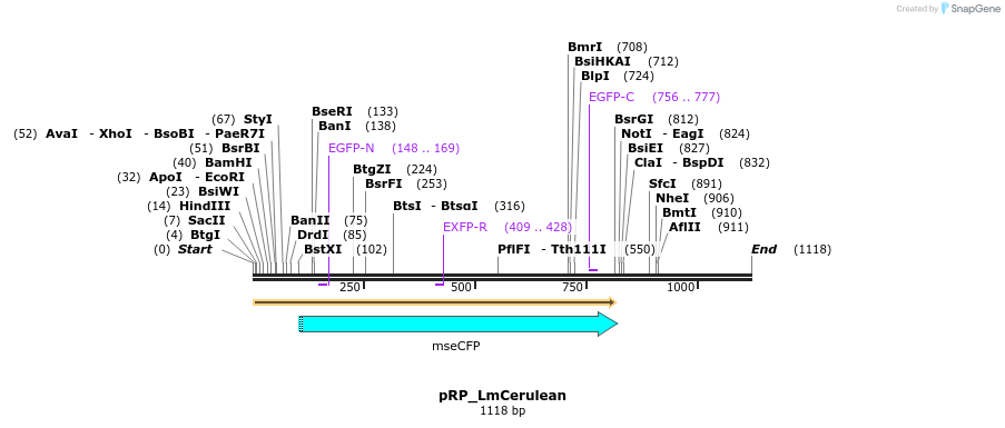 120401_map