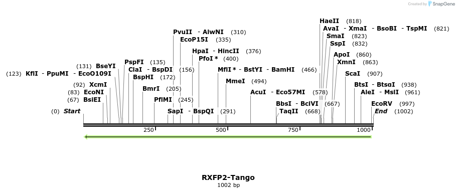 120406_map