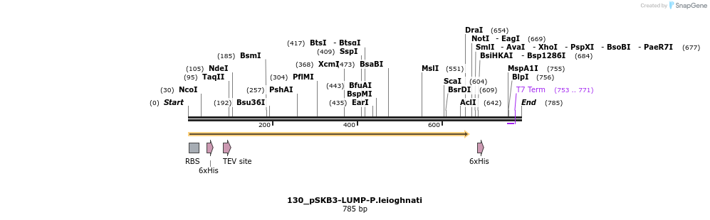 120407_map