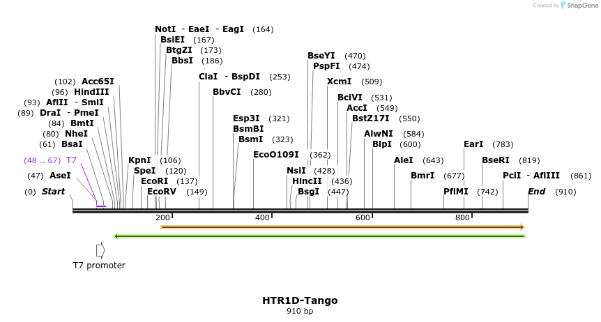 120408_map