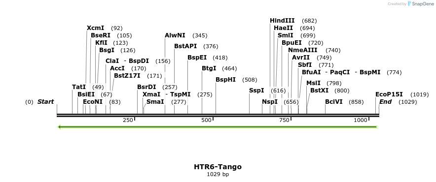 120411_map