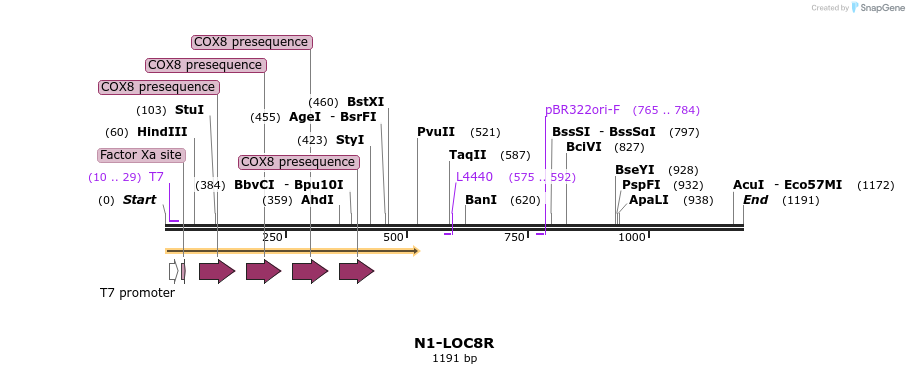 120413_map