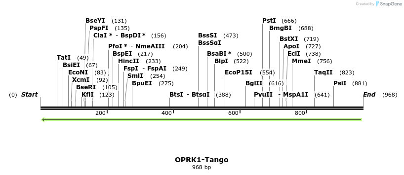 120431_map