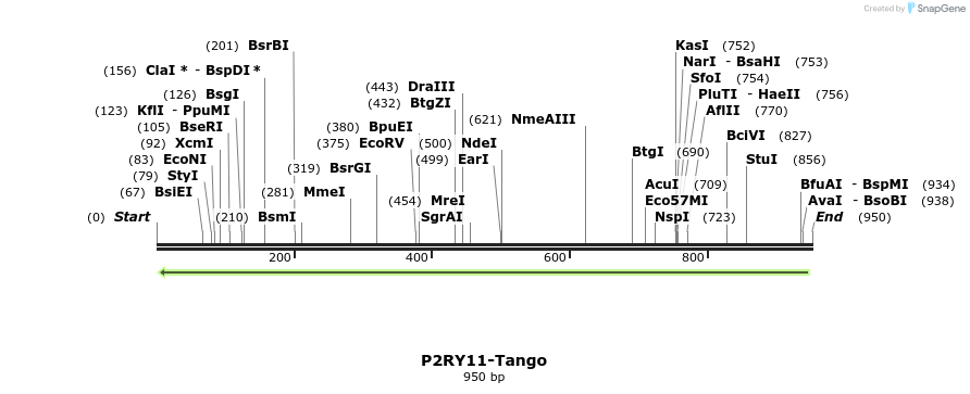 120433_map