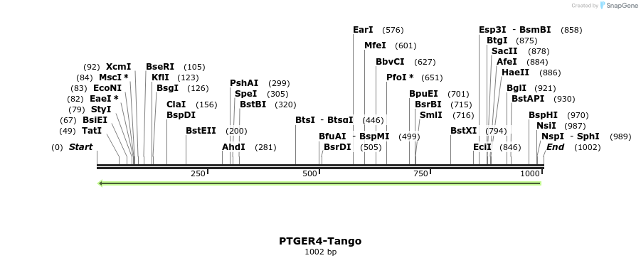 120439_map