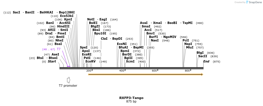 120441_map
