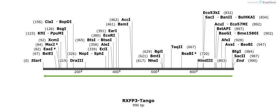 120442_map
