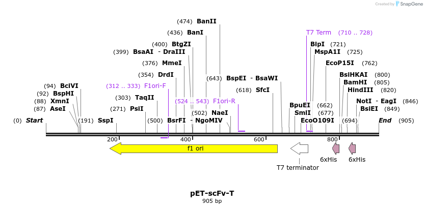 120443_map