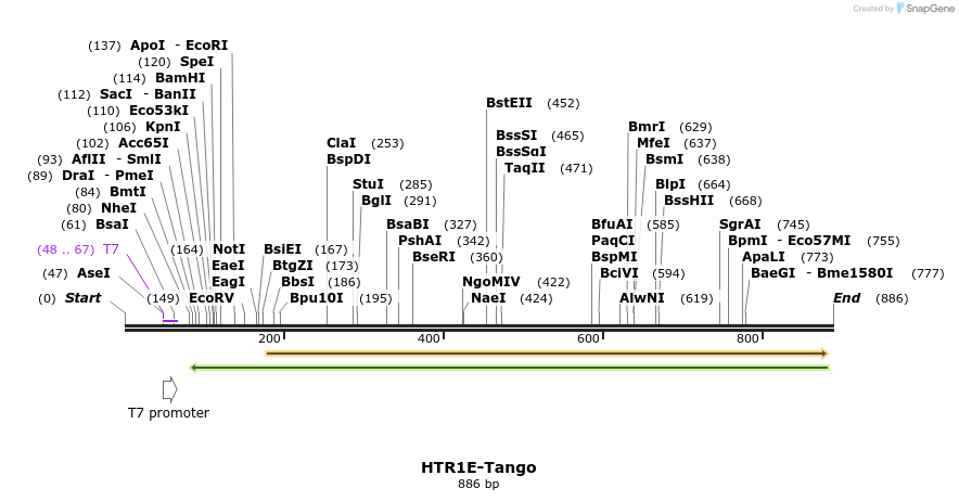 120444_map