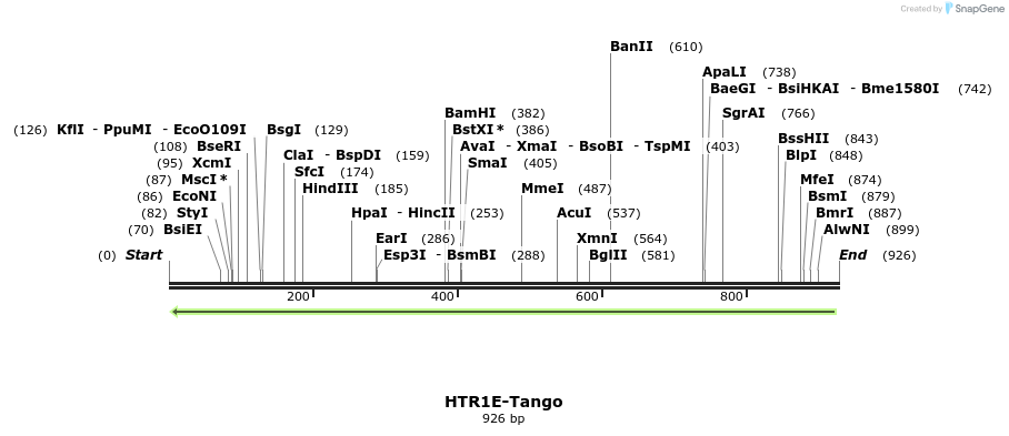 120446_map