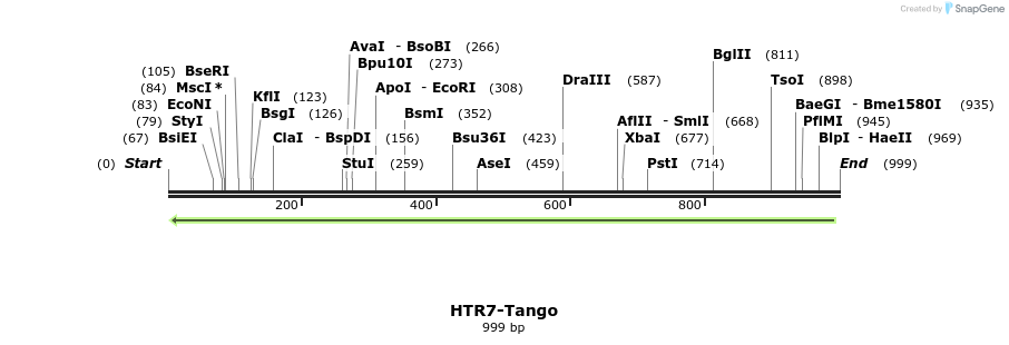 120448_map