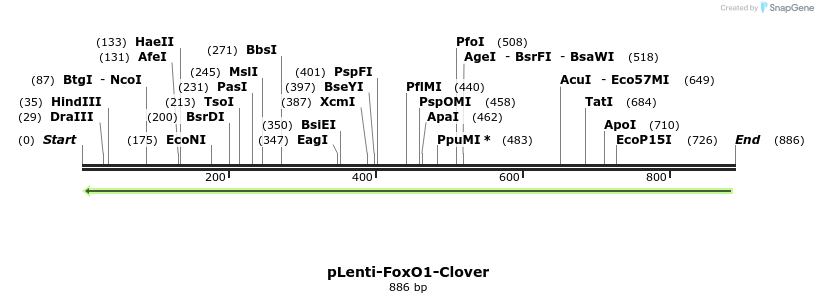120449_map
