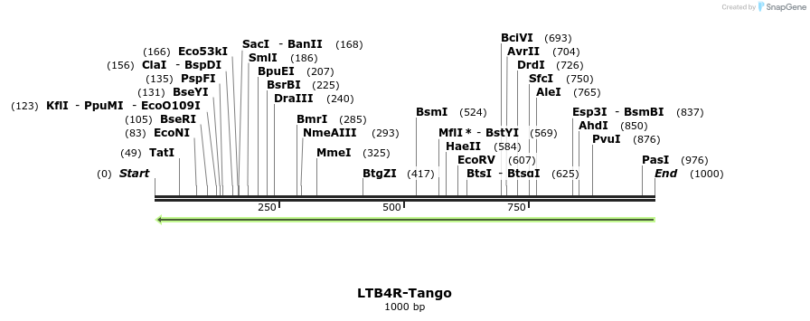 120454_map