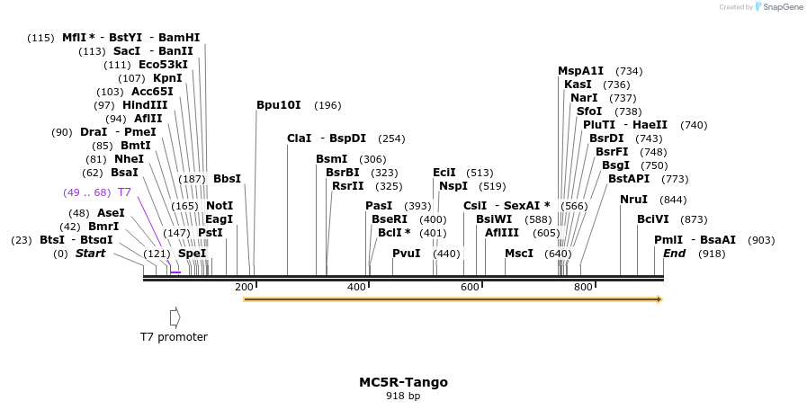 120455_map
