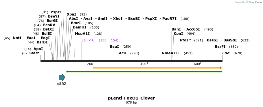 120459_map