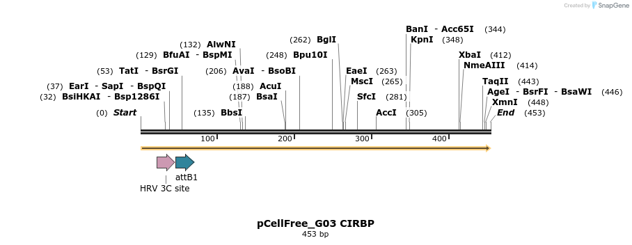120461_map