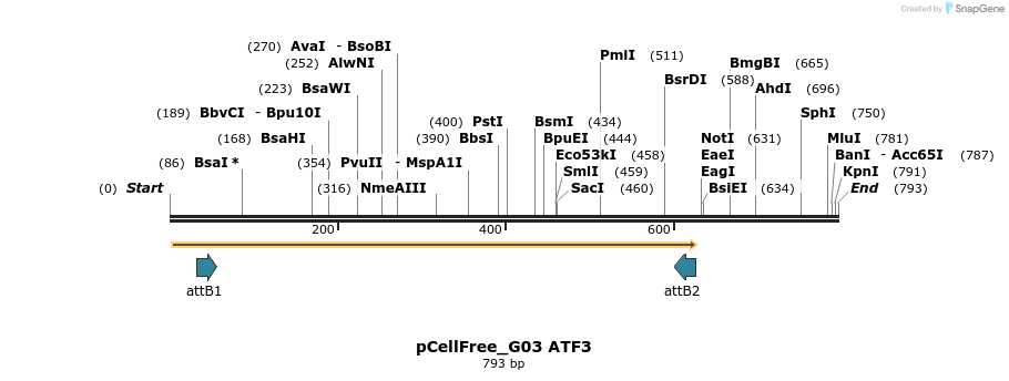 120462_map