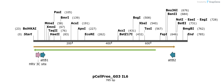 120465_map