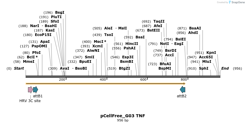 120466_map