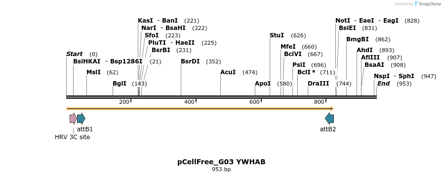 120468_map