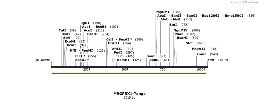 120469_map