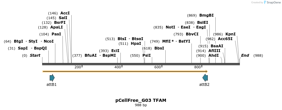 120470_map