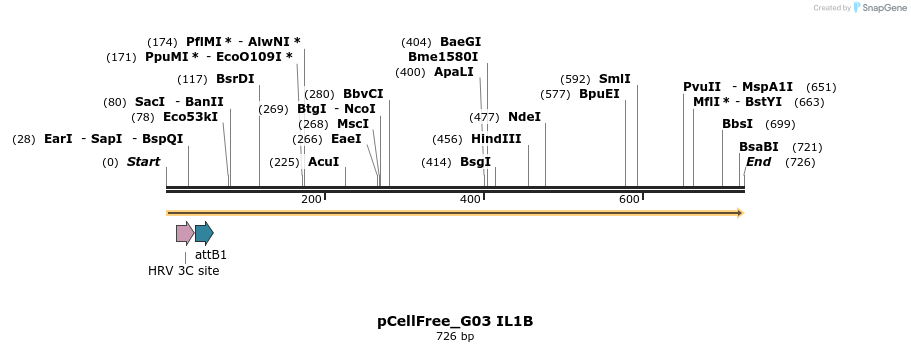 120476_map
