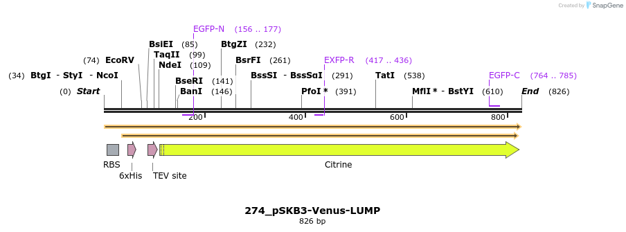 120478_map
