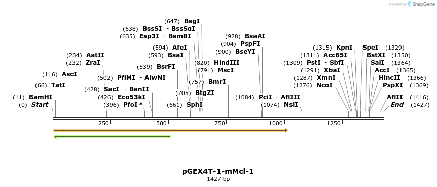 12048_map