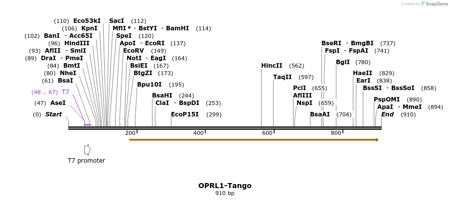120480_map