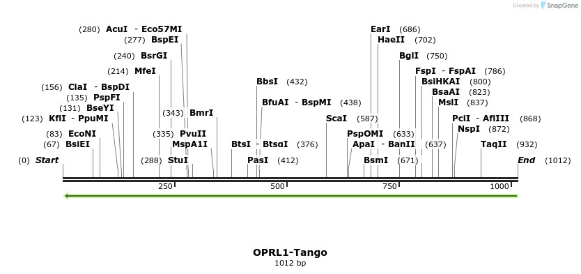 120481_map