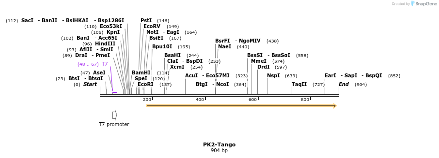 120485_map
