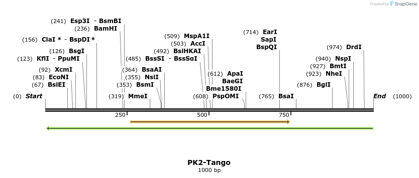 120486_map