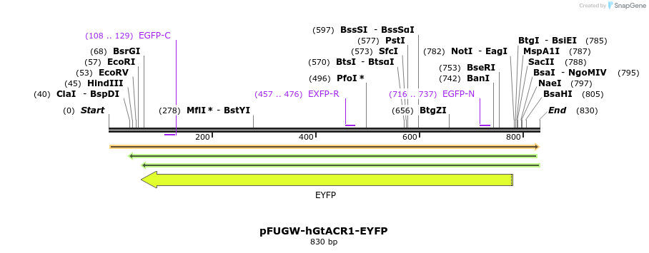 120487_map