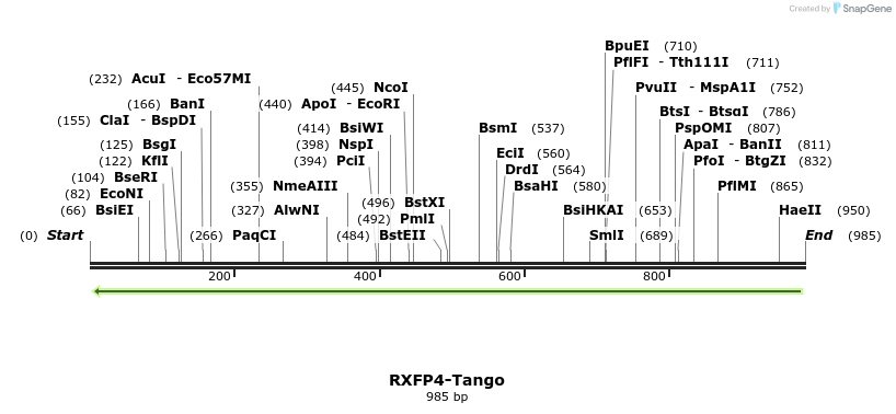 120492_map